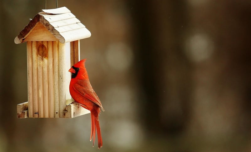 DIY Garden Ornaments